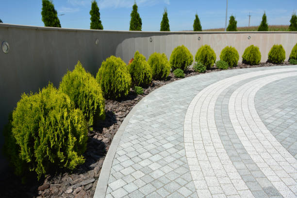 Reasons to Select Us for Your Driveway Paving Requirements in Farr West, UT